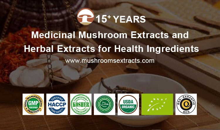 Organic Lion′ S Mane Mushroom Plant Extract Reishi Mushroom Ganoderma Lucidum Shiitake Cordyceps Mushroom Herbal Powder