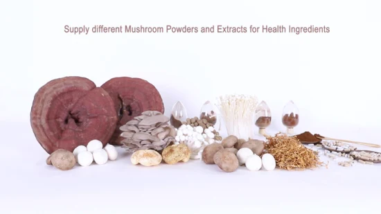 Extrait de plantes de champignons de la crinière de lion organique S Reishi Mushroom Ganoderma Lucidum Shiitake Cordyceps Mushroom Poudre à base de plantes