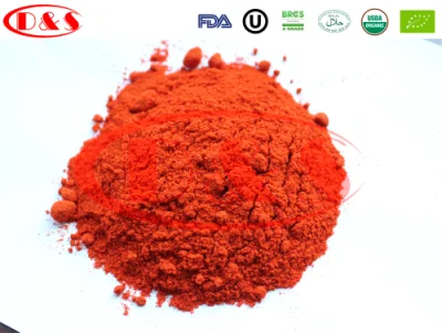 Distributeur de poudre de piment rouge en poudre d'épices d'assaisonnement en gros