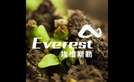 Poudre d'acides aminés végétaux Everest 80%